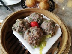 7、肉球-松雅轩(大源店)