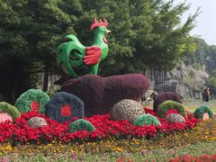 -金鸡山公园