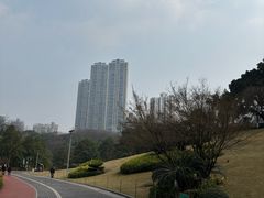 -龙头寺公园