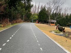 -东平国家森林公园