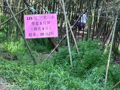 -同里国家湿地公园