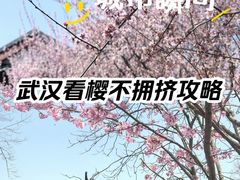 -堤角公园