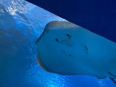 -太平洋海底世界