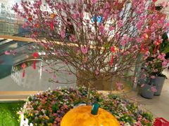-江燕路万科里