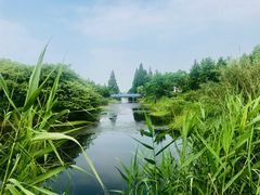 -上海国际音乐村