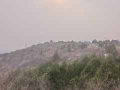 -白水寺森林公园