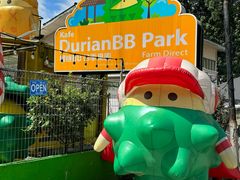-榴莲BB 四季果园