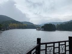 -庐山风景区花径公园