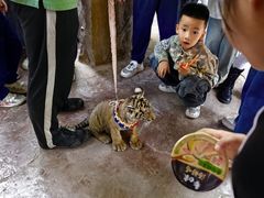 -长鹿旅游休博园