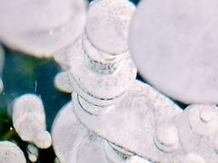 -妙峰山风景名胜区