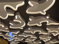 -阿五黄河大鲤鱼(海尚店)