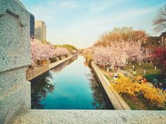 -元大都城垣遗址公园