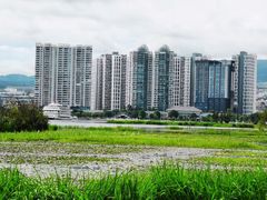-洱海月湿地公园