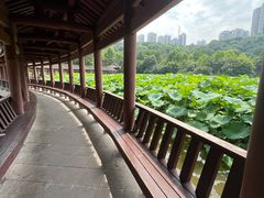 -龙头寺公园