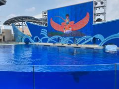 -上海海昌海洋公园