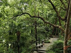 -吴山景区