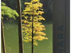 -广州市白云山风景名胜区