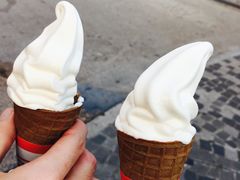 -富豪雪糕车流动点(尖沙咀店)