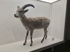 -济南野生动物世界