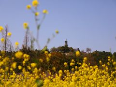 -上方山森林动物世界