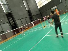 -深圳大运中心世界冠军羽毛球馆