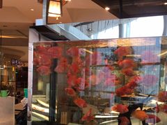 -怡咖啡海鲜自助餐厅(浦东香格里拉店)