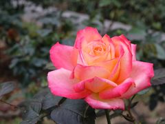 -人民公园(罗湖区)