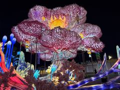 -淄博花灯齐彩城