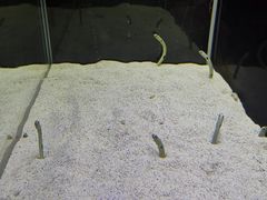 -沈阳海洋探索中心