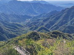 -大岭沟猕猴桃谷风景区