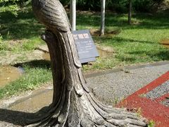 -武清南湖绿博园