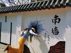 -南山植物园