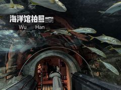 -海合安武汉极地海洋公园