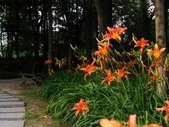 android_upload_pic-苏州河梦清园环保主题公园