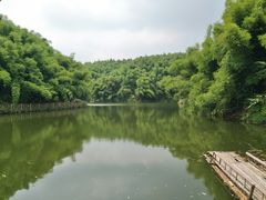 -沐川竹海旅游景区