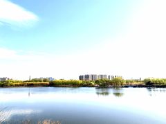 -大兴滨河森林公园