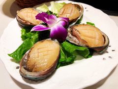 大连鲜鲍鱼-沄记顺德菜打边炉(东直门店)