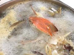 -春华海鲜城(广场西苑店)