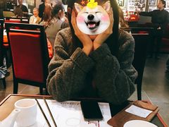 -糖朝(尖沙咀店)