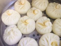 -田螺阿姨自营月嫂·育儿嫂(高新店)