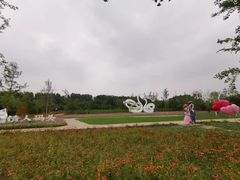 -东郊湿地公园