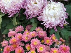 -驿舍·民國老营房院子私房菜(科学会堂店)