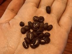 -参差咖啡(水果湖公园店)