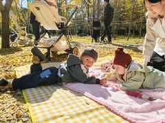 -森林公园(尖草坪区)