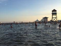 -碧海金沙