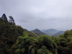 -莫干山风景区
