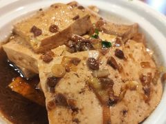 -邵年鸽(杨庄店)