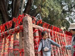 -四门塔风景区