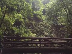 -青城山