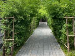 -晋祠公园